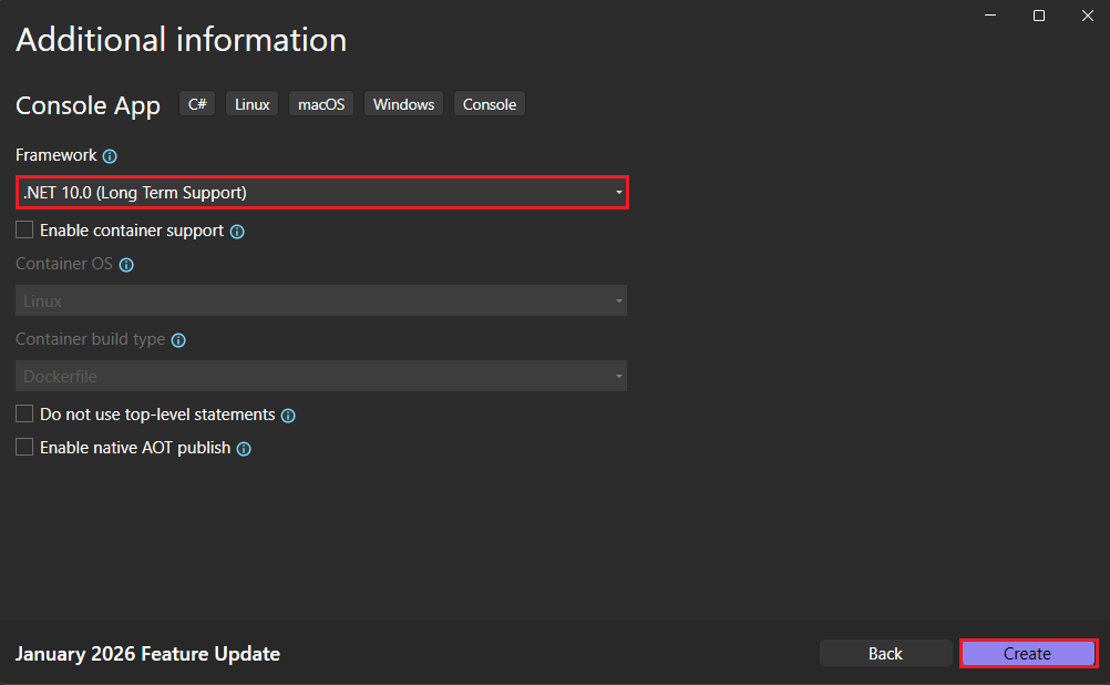 Insira informações adicionais para o aplicativo de console.