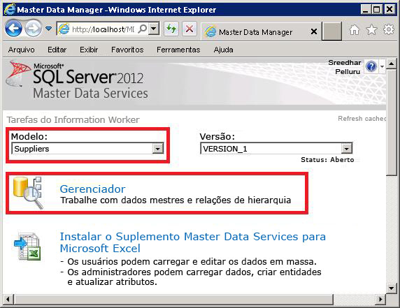Master Data Manager - Botão Gerenciador