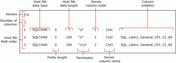 Diagrama detalhando o arquivo de formato não XML padrão para mytestskipcol.