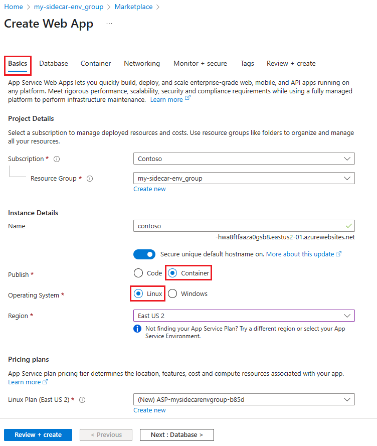 Captura de tela mostrando as configurações básicas para o aplicativo Web de contêiner personalizado do Linux.