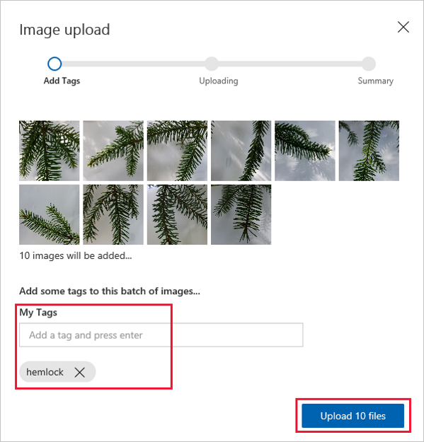 Carregar ficheiros etiquetados com cicuta para o Custom Vision