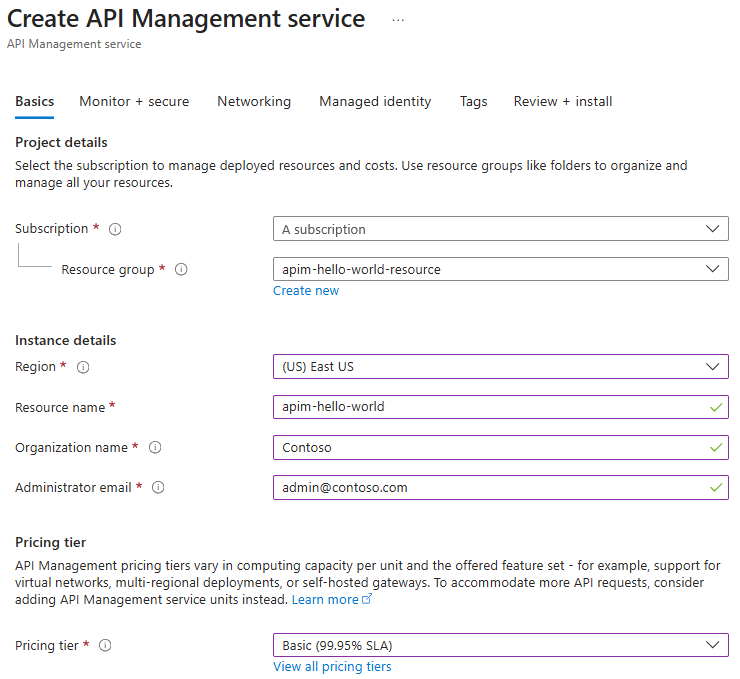 Captura de ecrã que mostra as definições básicas para criar uma instância de Gestão de APIs.