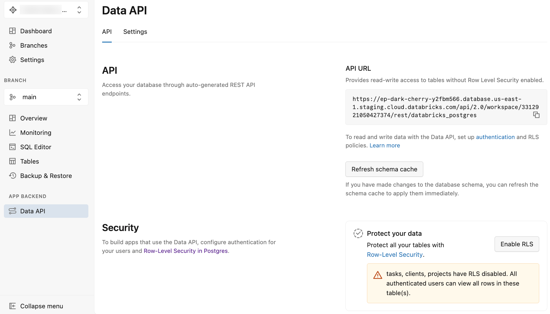 Página API de dados que mostra URL da API e opções de segurança