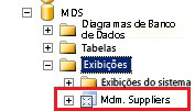 SQL Server Management Studio - Exibição mdm.Suppliers