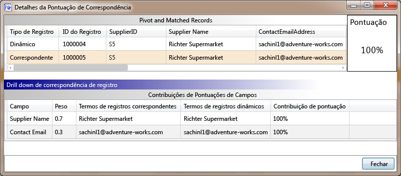 Caixa de diálogo Detalhes de Pontuação Correspondente