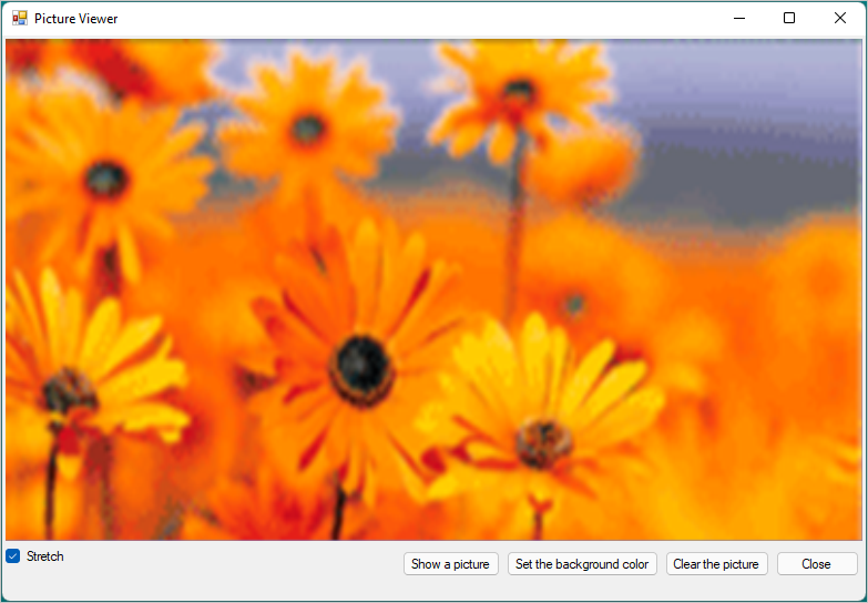 Skärmbild som visar appen Bildvisning med en bild som visas.