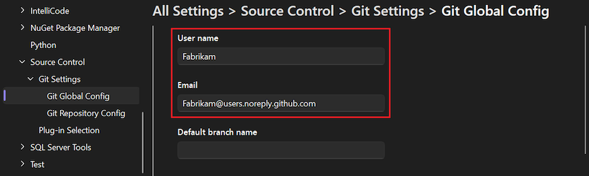 Skärmbild av inställningarna för Git Global Config i fönstret Alternativ med användarnamnet och e-postmeddelandet markerat.