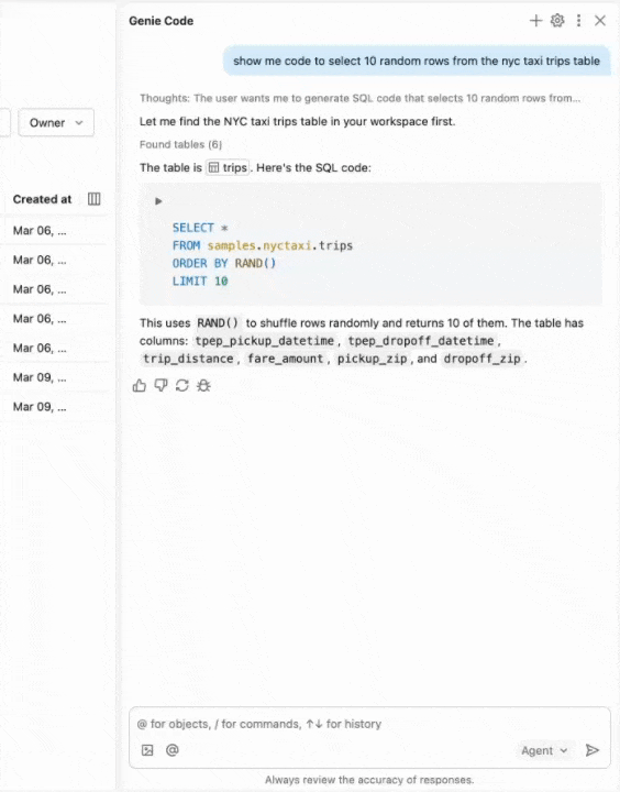 在助手窗格中运行 SQL 代码。