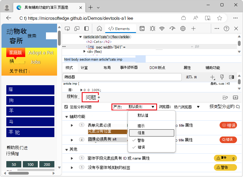 “问题”面板展开了“严重性”下拉列表，其中显示了可选择的不同级别