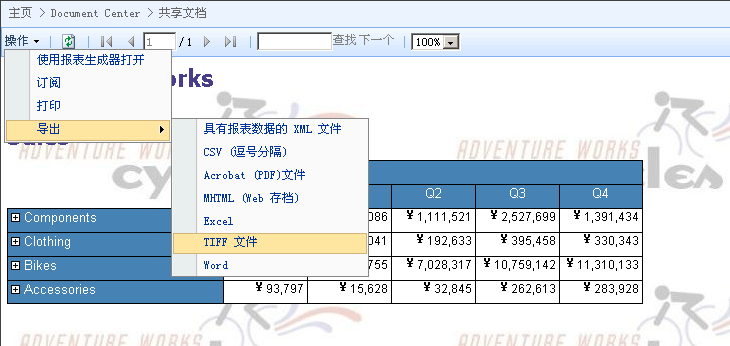 报表查看器 Web 部件