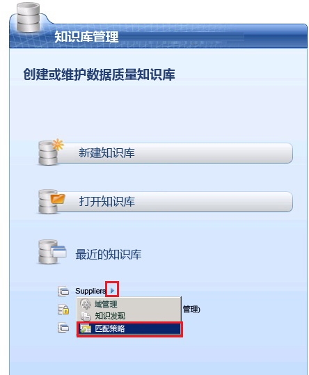 主页上的“匹配策略”菜单
