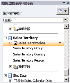 字段列表中的销售区域层次结构