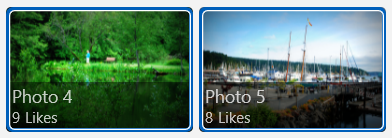 项目视图中的两个图像，每个图像周围都有蓝色边框以指示选择。